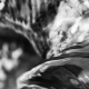 Water II 2019