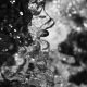 Water IV 2019